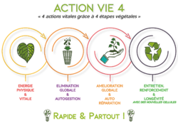 action-vie-4-2018