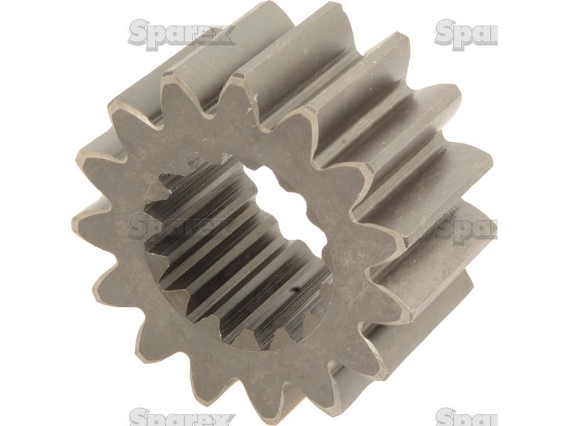107469_pic1
