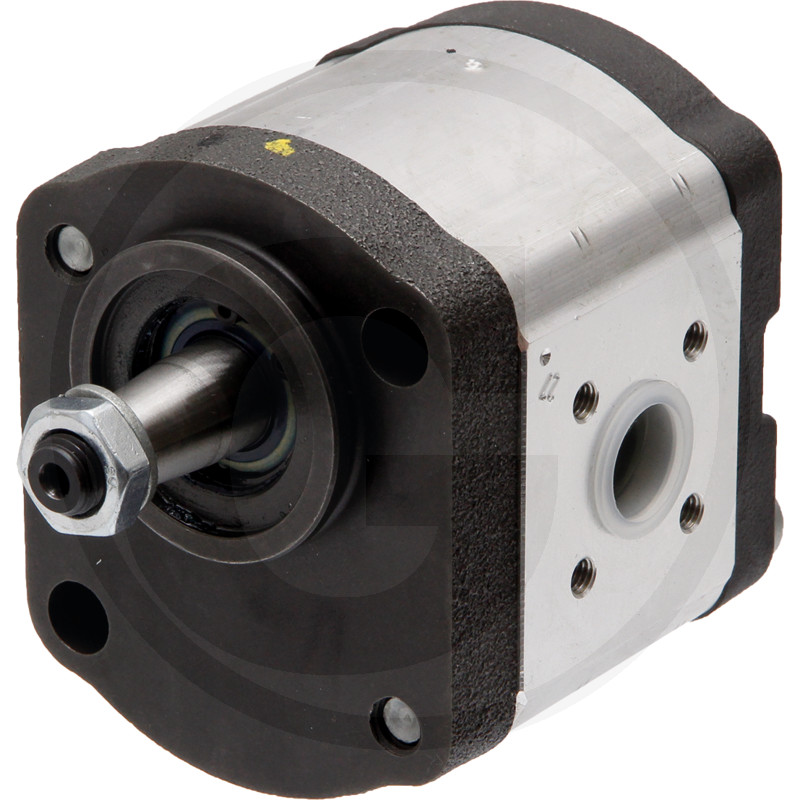 g219