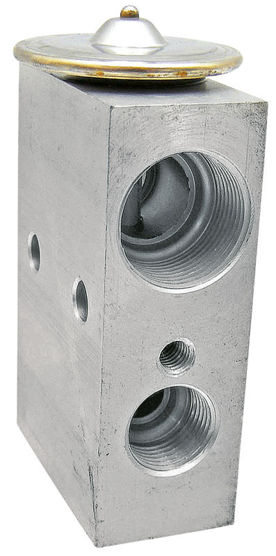 65204004