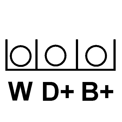 PL31 (1)