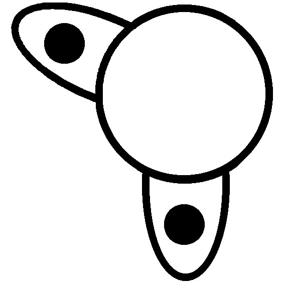 OPH08 (2)