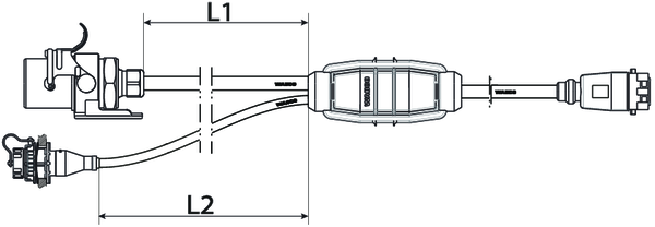 449244-ai-1
