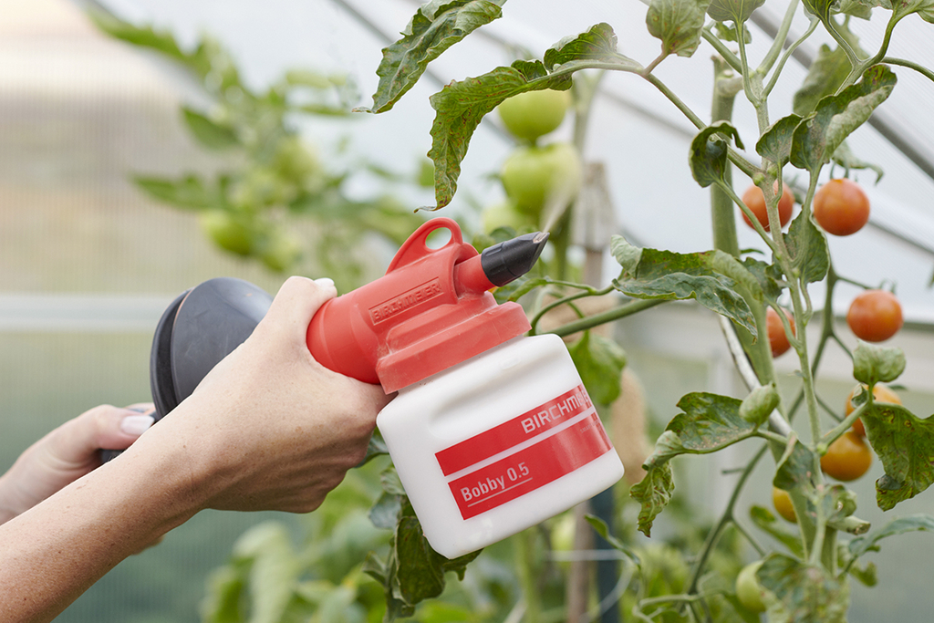anw-bobby-0-5-tomaten