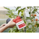 anw-bobby-0-5-tomaten
