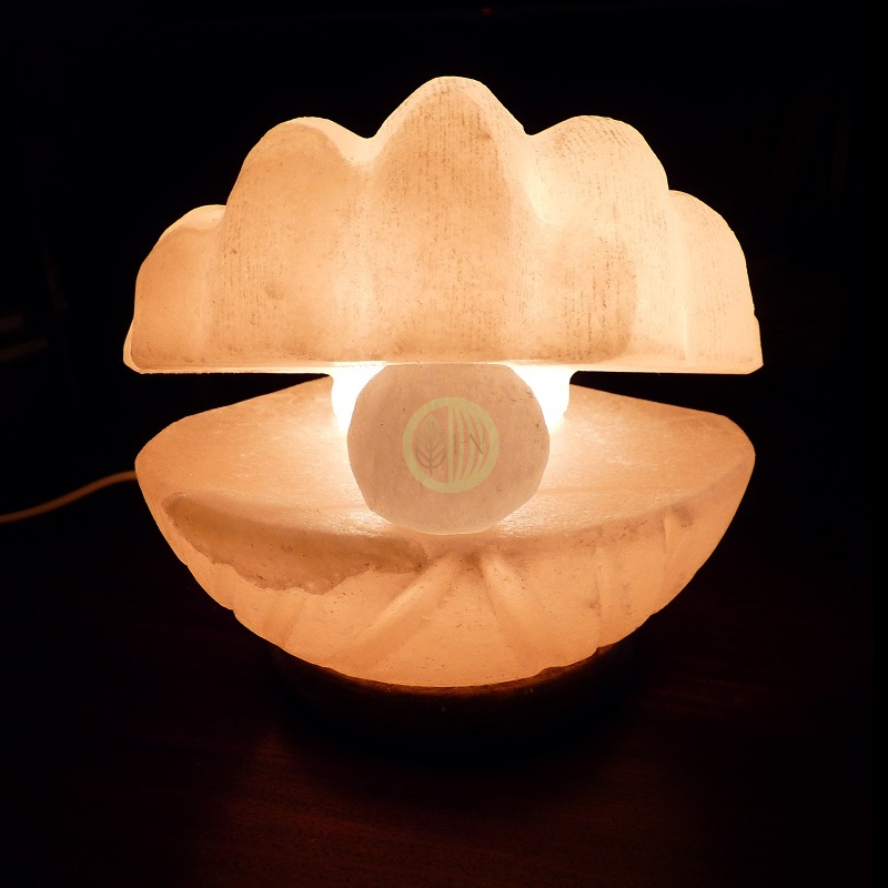 lampe décorative en sel coquillage