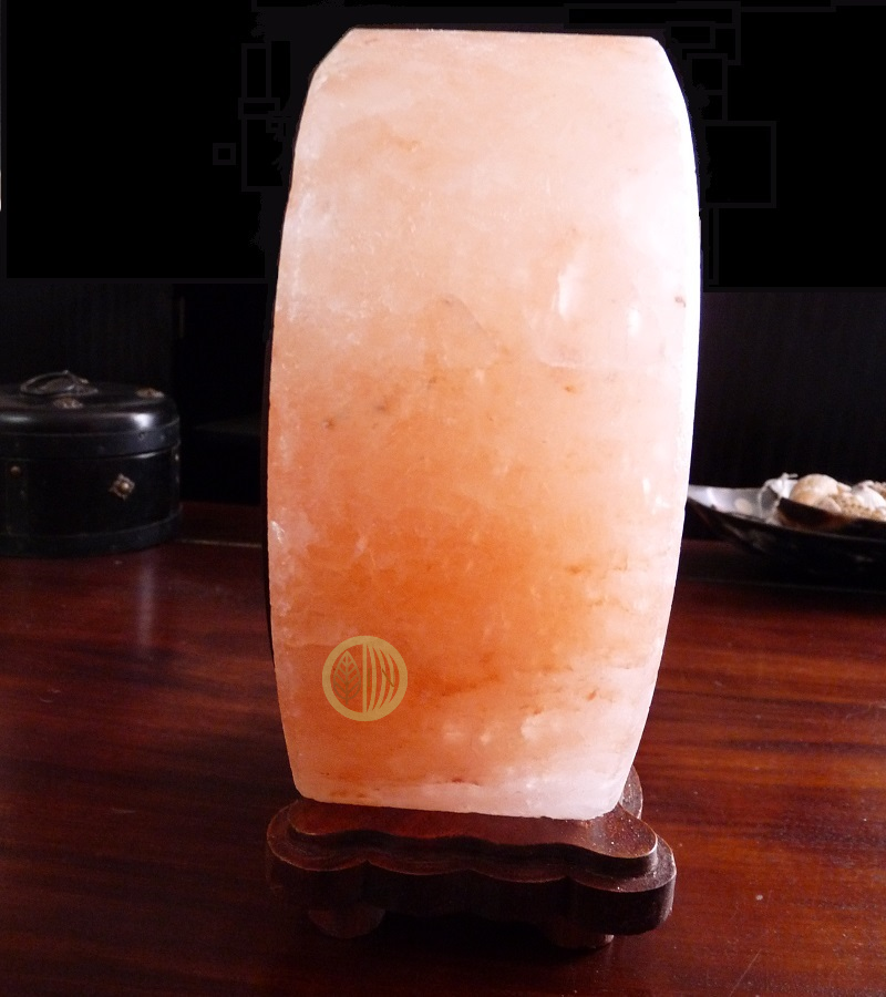 Une lampe de sel de l'Himalaya au motif YING YANG ARBRE DE VIE pour décorer  vos intérieurs et profiter des bienfaits des lampes de sel (purifier l'air  avec le sel, bien-être…).