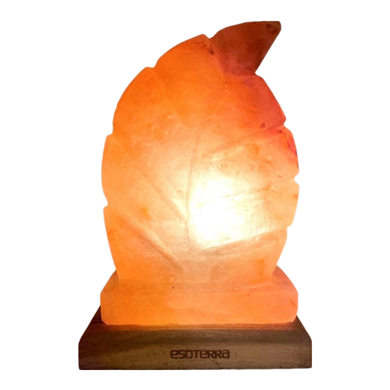 lampe pierre de sel feuille arbre courbée