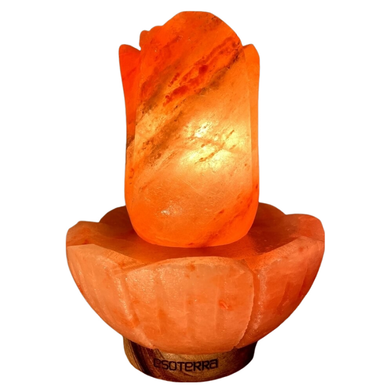lampe de sel fleur de lotus