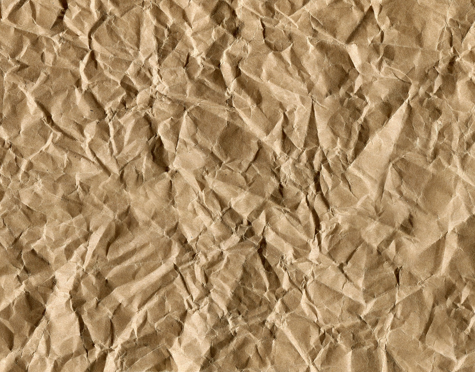 paper 4116651 1920