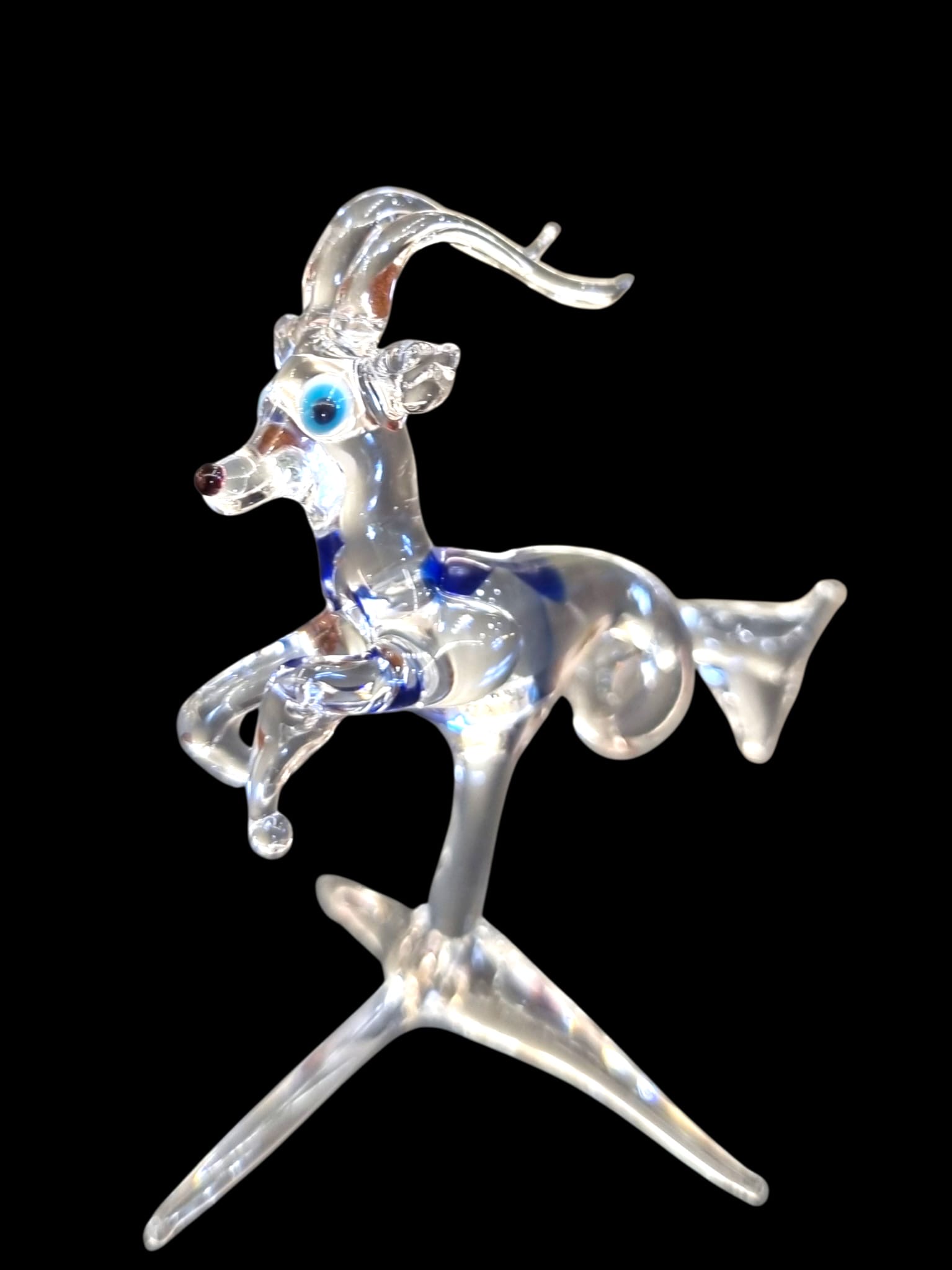 Signe du Capricorne