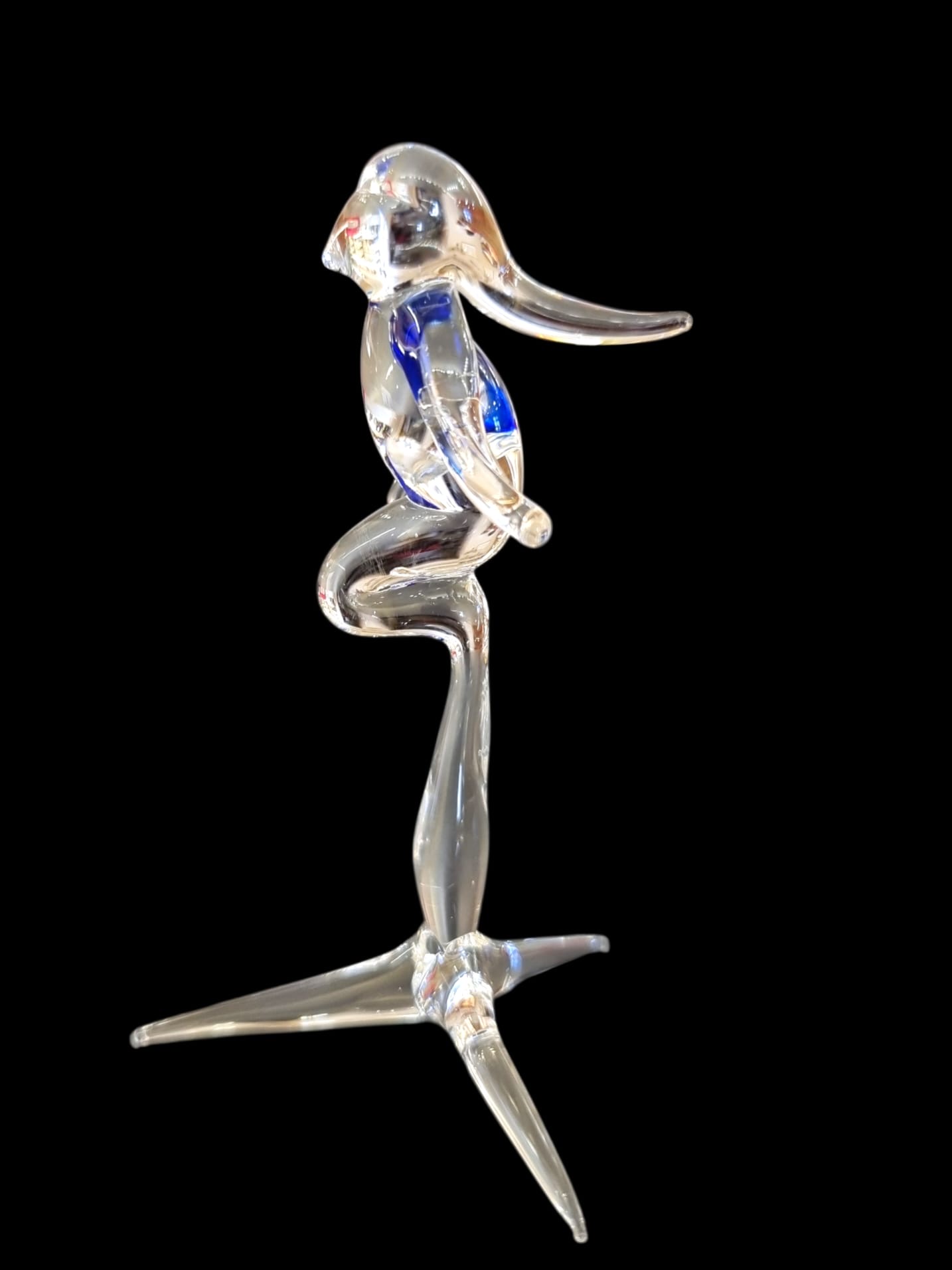 Signe de la Vierge