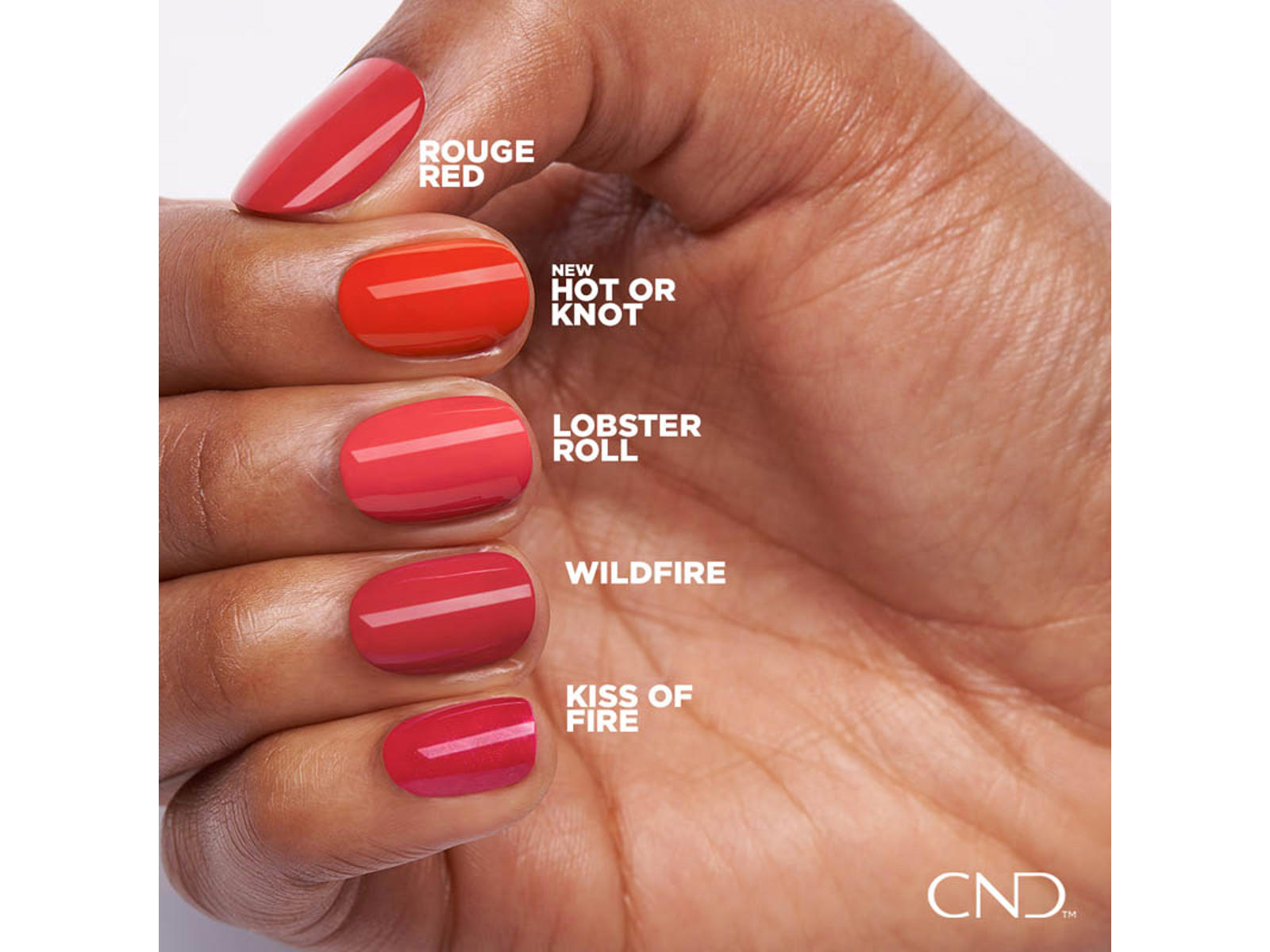 CND vinylux 288 touche