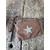 pochette-etoile-camel-1