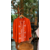 blouse-brodee-orange-4
