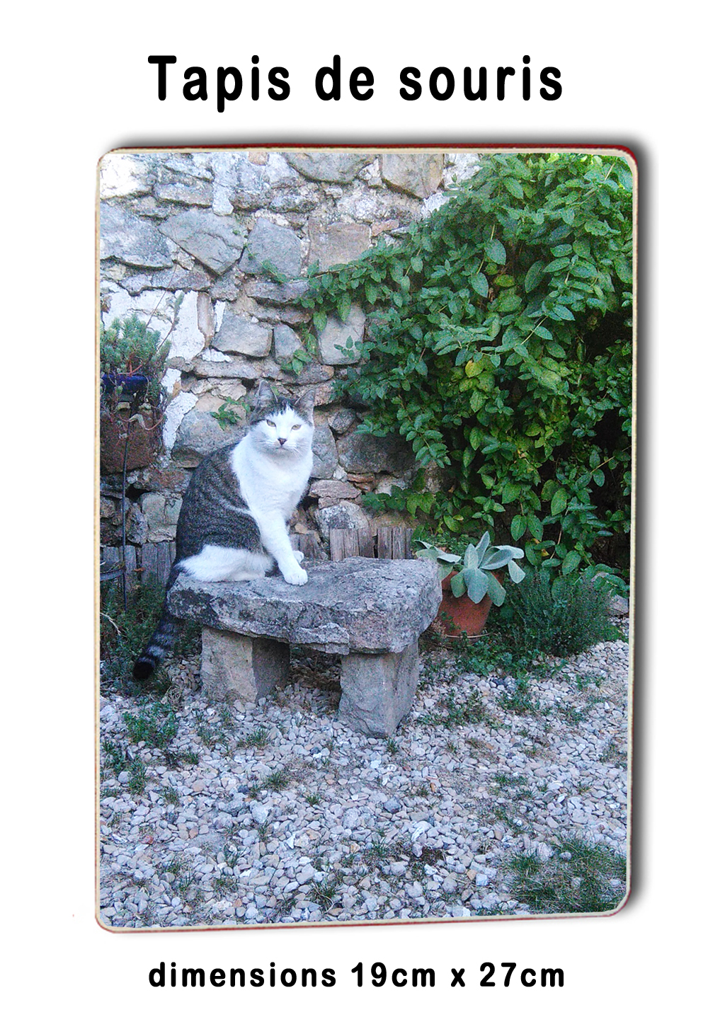 Tapis de Souris Personnalisés avec Photo et Texte 