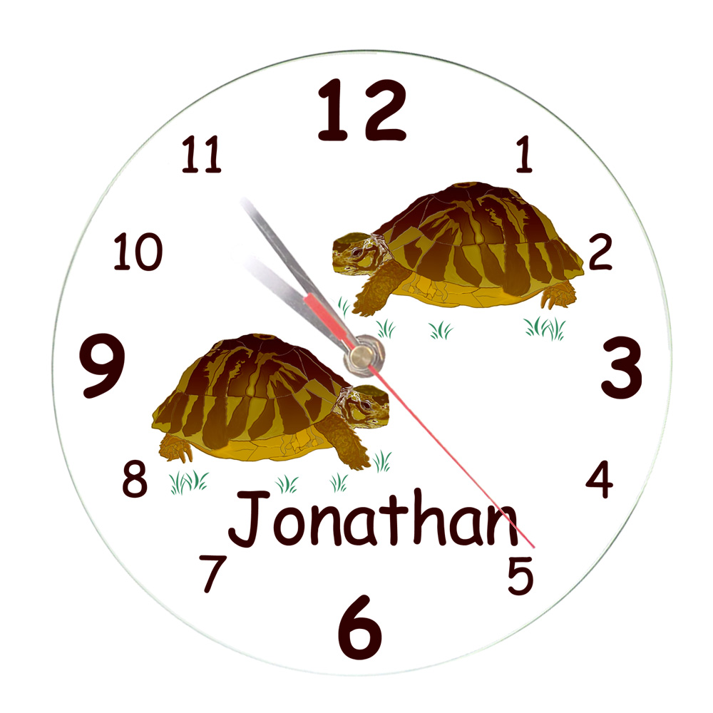 horloge-tortue-terrestre-animal-personnaliser-personnalisable-prenom-jonathan-texticadeaux