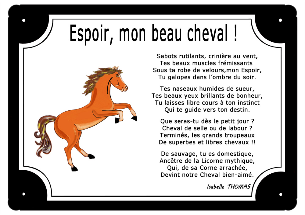 plaque-tour-noir-cheval-ami-animal-compagnon-personnaliser-prenom-texte-poeme-texticadeaux