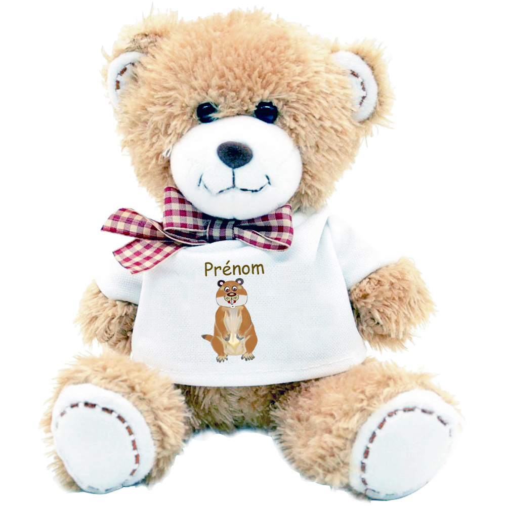 nounours-marmotte-peluche-personnalisable-doudou-teeshirt-prenom-texticadeaux