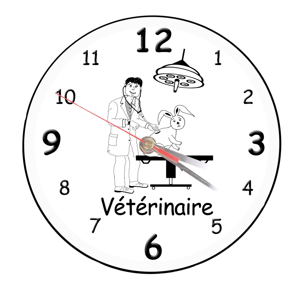 horloge-veterinaire-soins-animaux-medical-paramedical-texticadeaux-personnalise-personnalisation-pendule-montre-heure