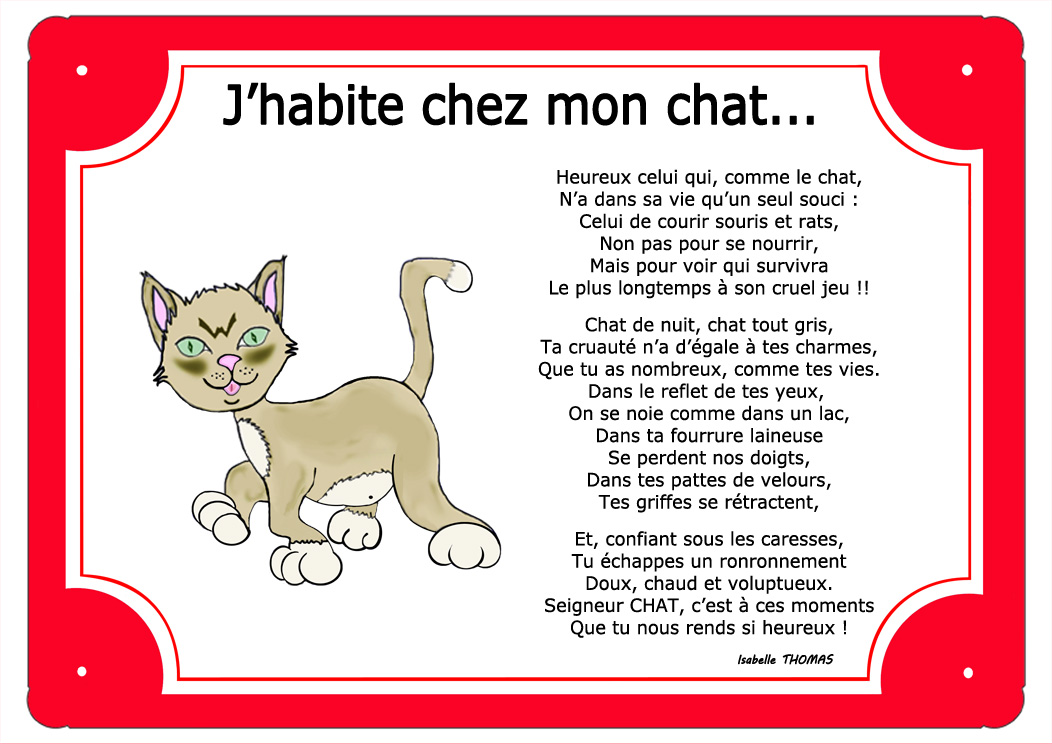 Cadre chat à personnaliser