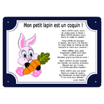 plaque-tour-bleu-lapin-carotte-prenom-personnalisation-personnalisable-poeme-thomasisabelle-texticadeaux