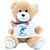 nounours-dauphin-peluche-personnalisable-doudou-teeshirt-delphine-texticadeaux