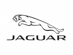 685_jaguar