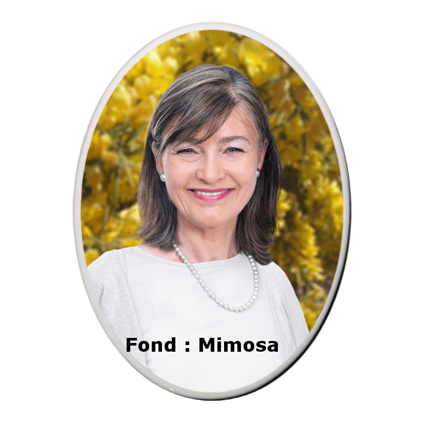 Photo-porcelaine-funéraire-ovale-Couleur-BB-P03-Mimosa-F-min
