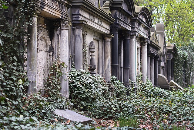 cimetiere vegetation