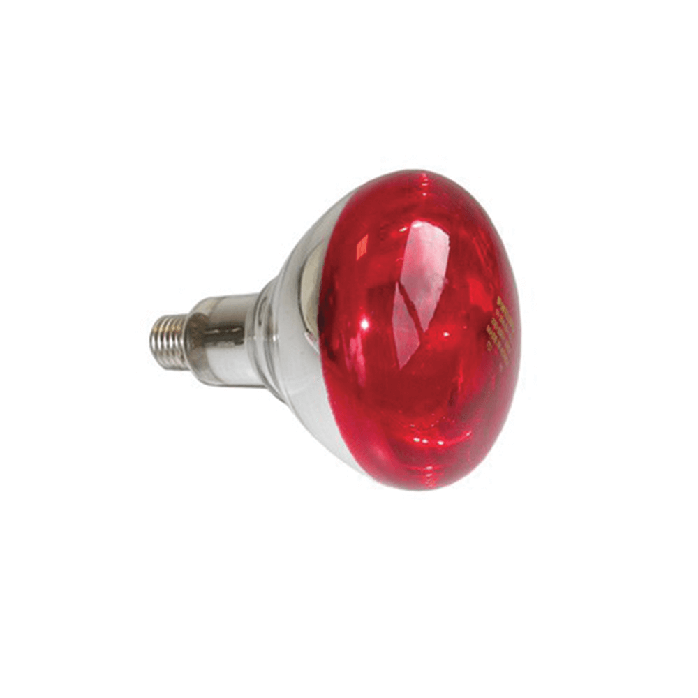 Ampoule infrarouge rouge verre renforcé (E27) - Lampes chauffantes -  Volailles