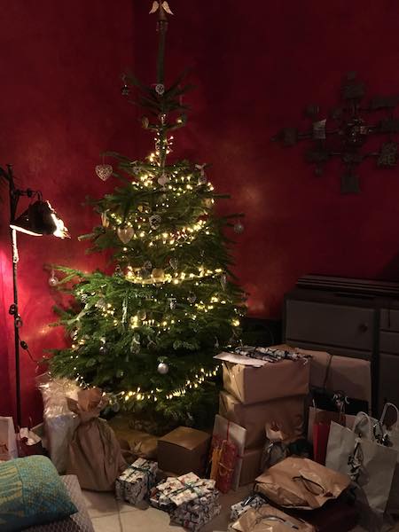 Mon BIO Sapin Nordmann