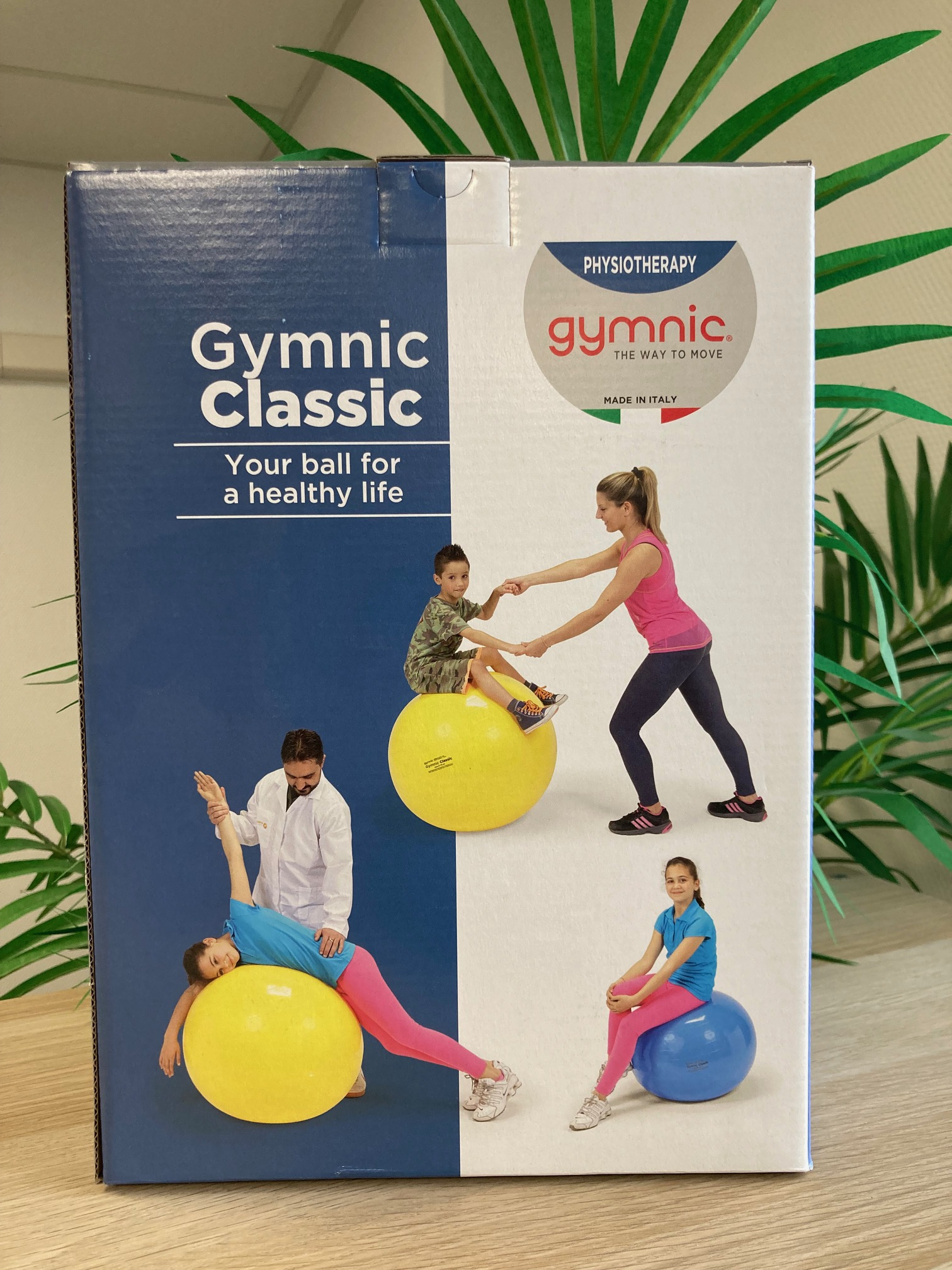 tablelya ballon gymnic de gymnastique postural diametre 45 cm 55 cm 65 cm jaune rouge bleu IMG_3096
