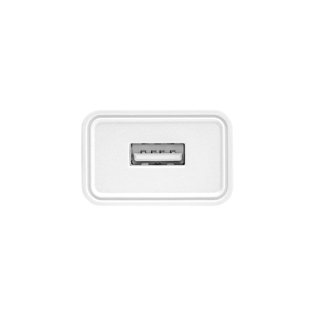 chargeur-usb-2A-100W-vue-arrière-coté-fiche-couleur-blanc.