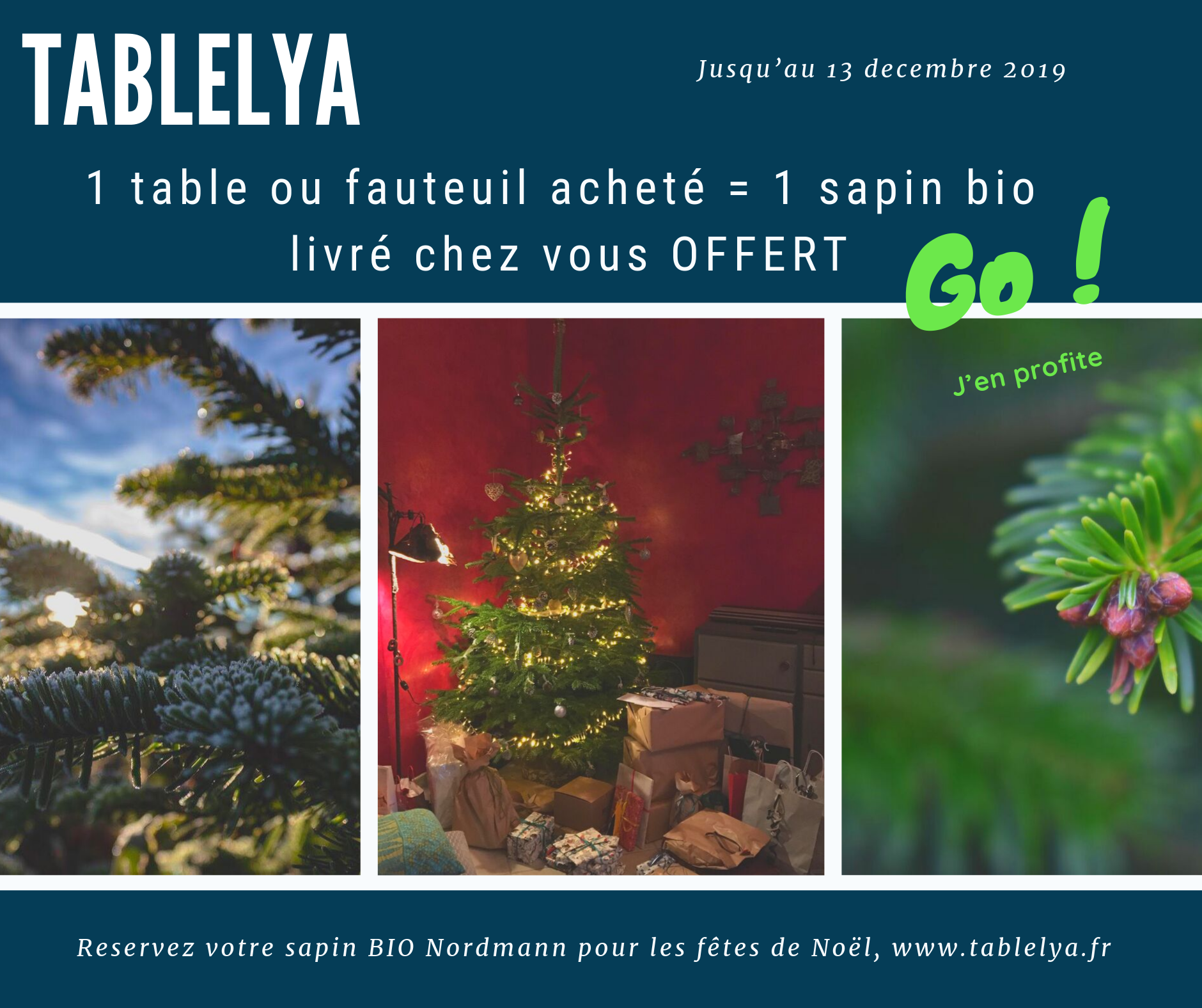 Votre Sapin OFFERT
