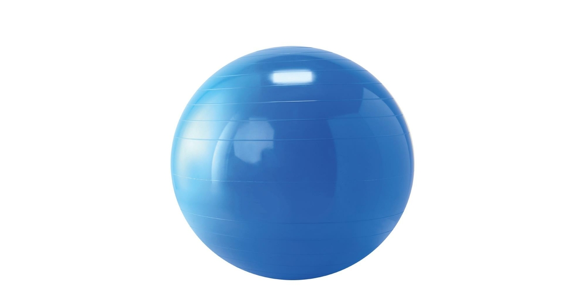 Gymnic Physio Roll Plus Ballon De Gymnastique