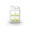 désinfectant détergent sterylane-balneo bidon de 5 L camylle tablelya pharesante