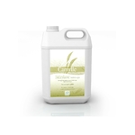 camyyle tablelya sterylane désinfectant nettoyant balneo bidon de 5 litres