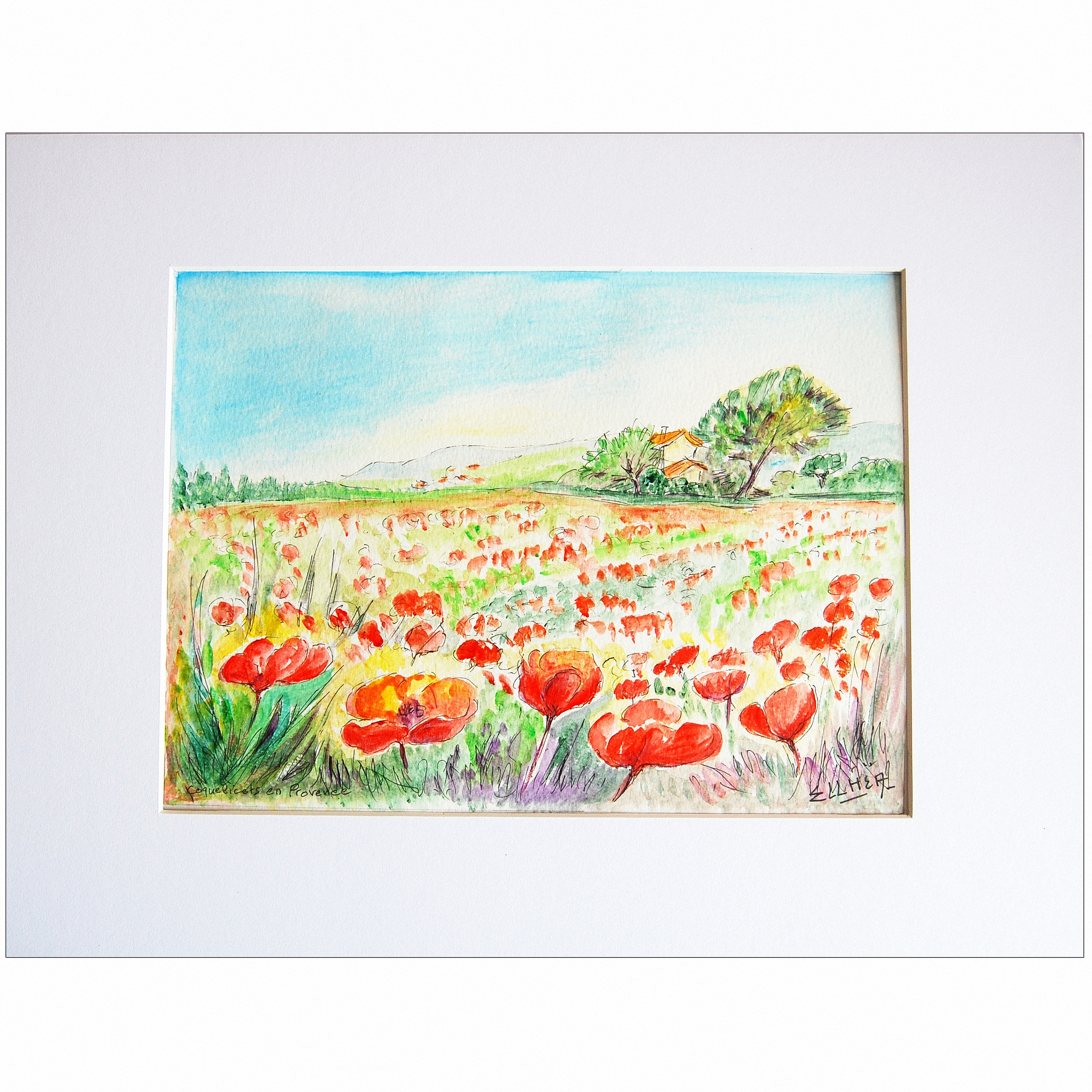 aquarelle unique coquelicots provence pass-c7