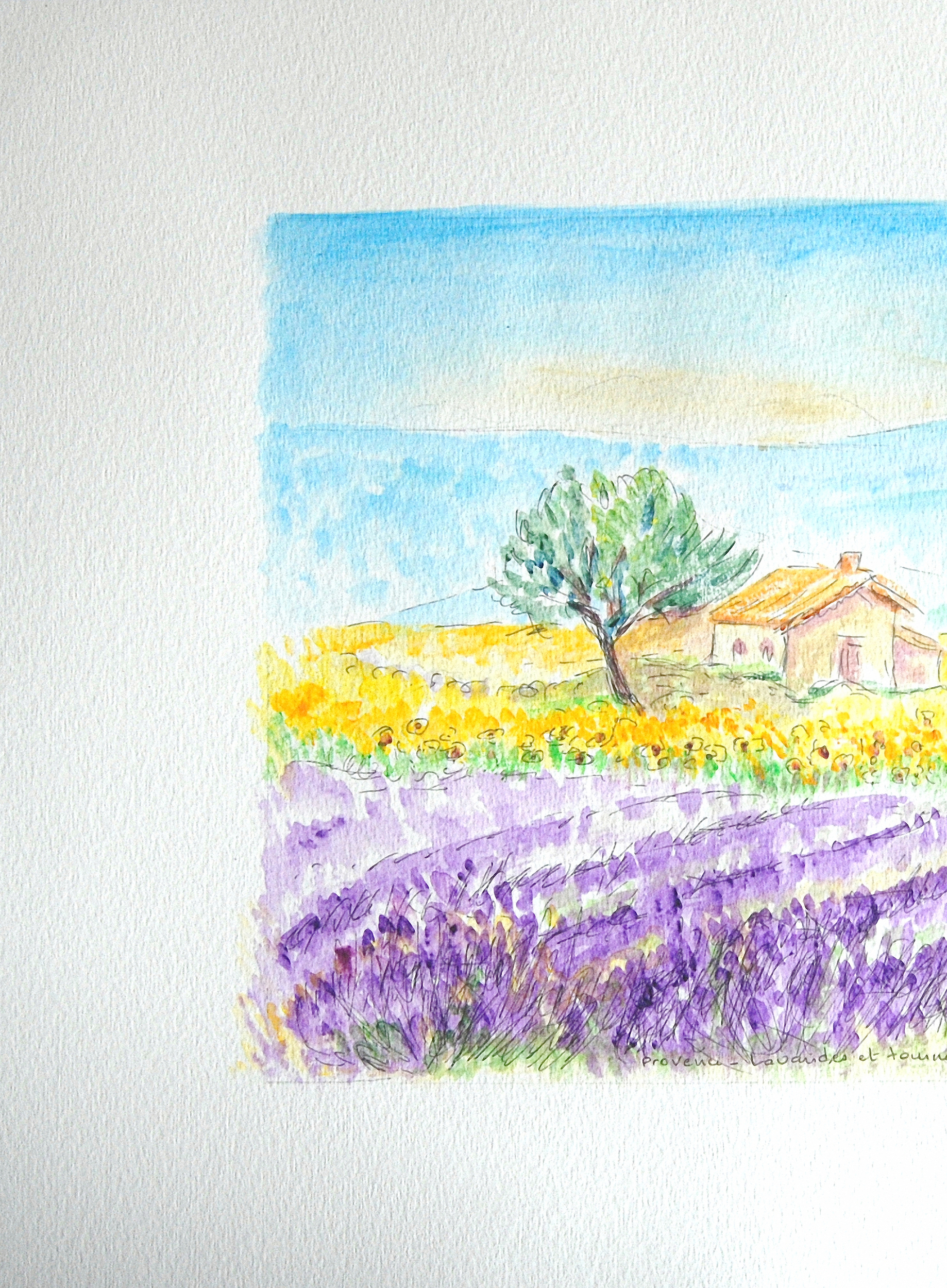 lavandes en provence gauche c8