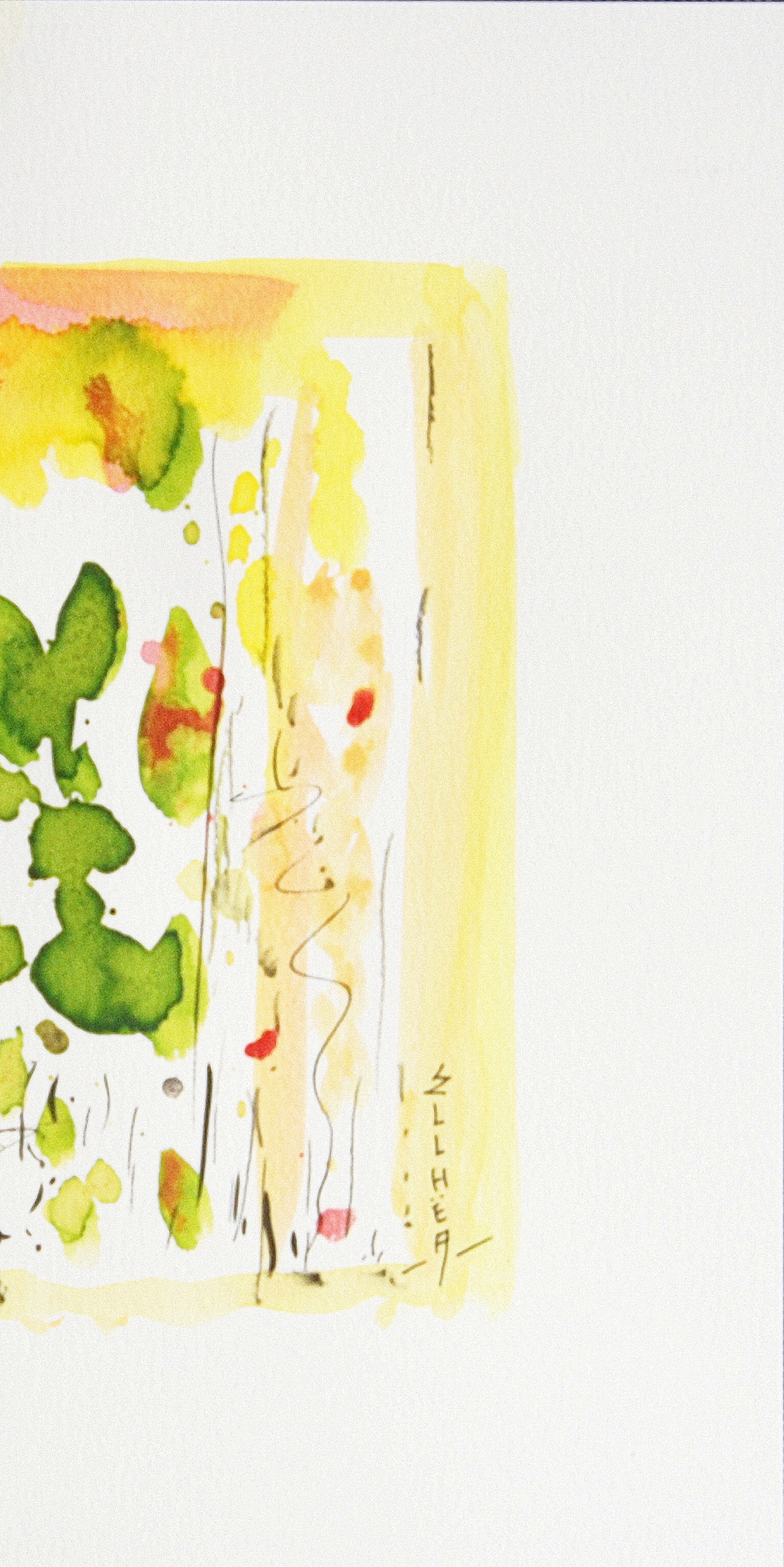 lost garden droit c8