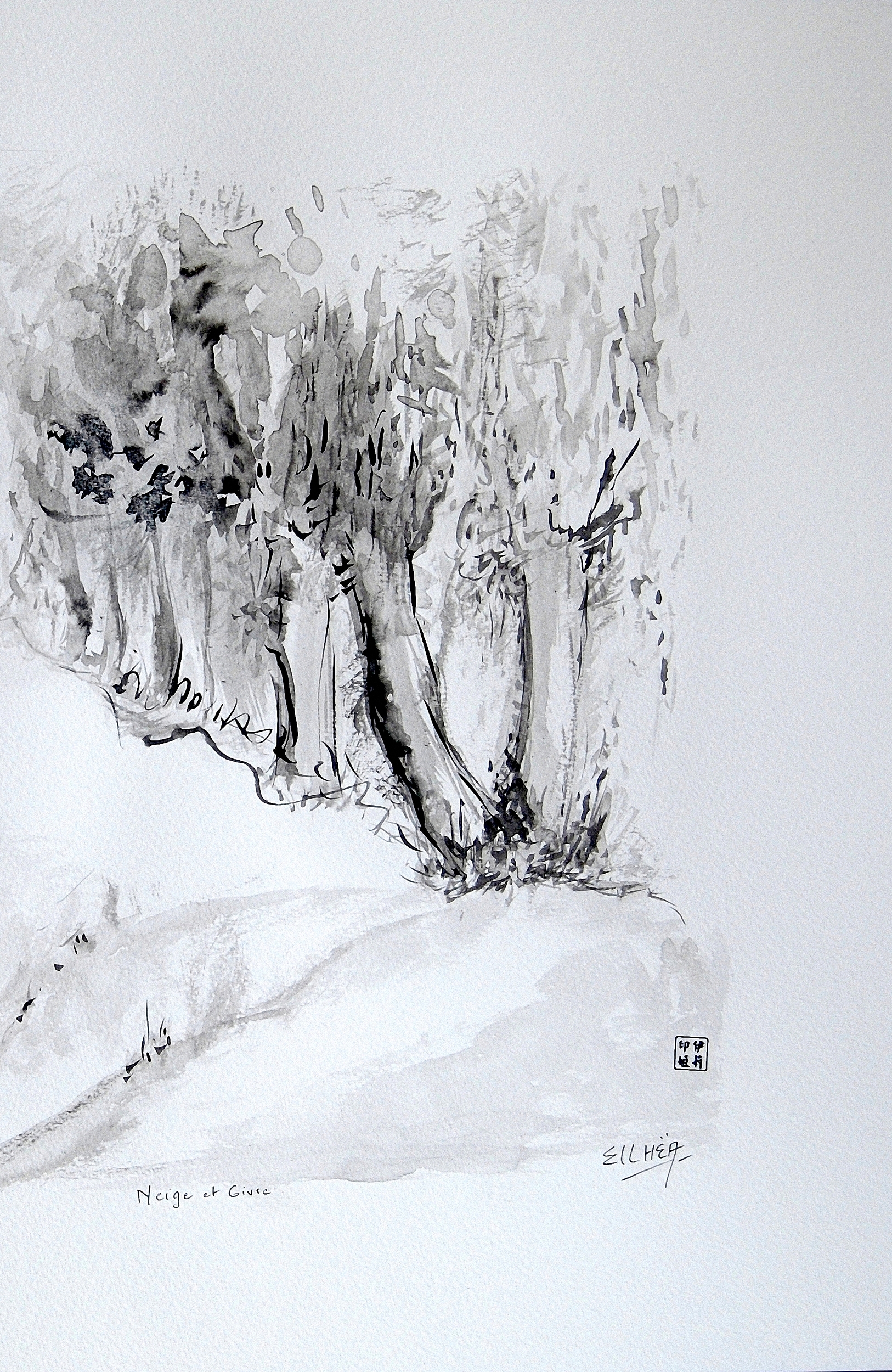 neige et givre droit c8
