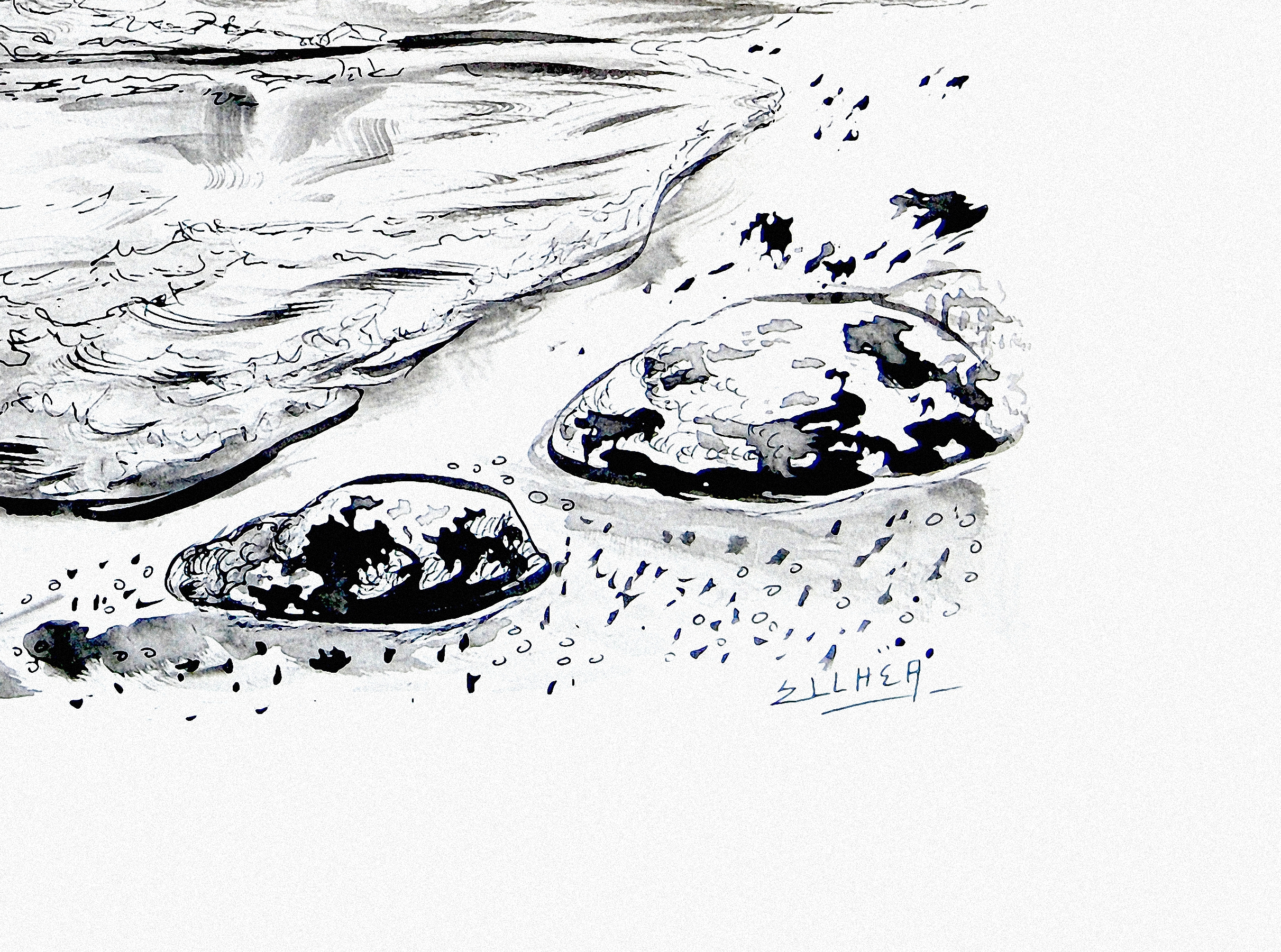 sur la plage signature 2
