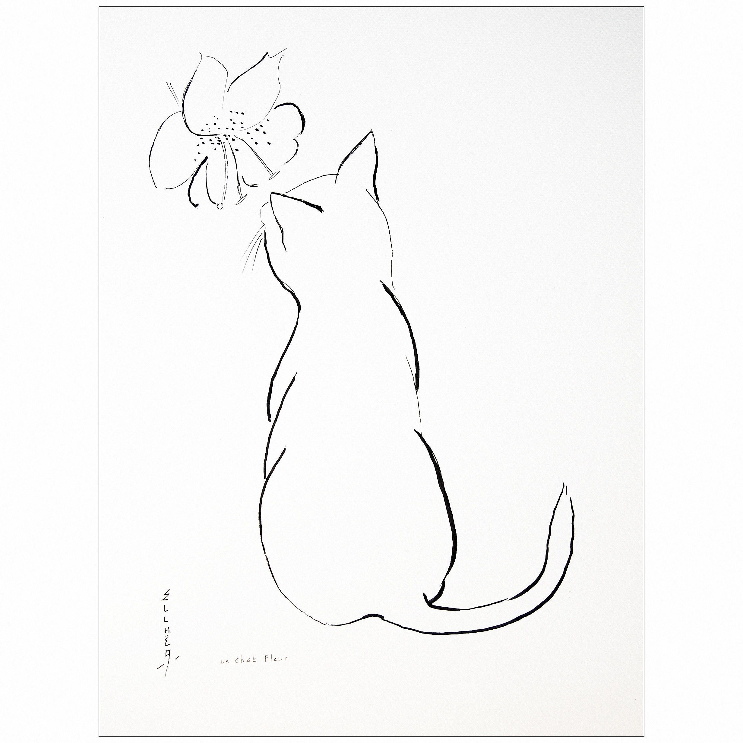 chat fleur encre noire artiste ellhea c7