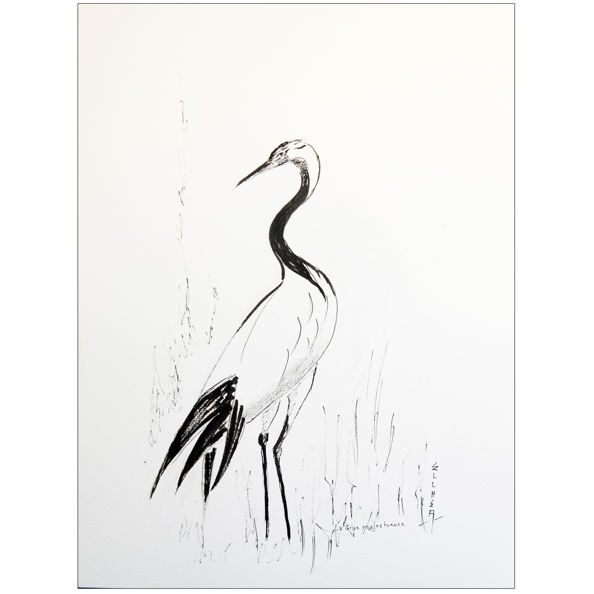 la grue encre noire artiste ellhea 1
