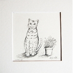 dessin encre de chine chat tigre pass c7