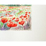 coquelicots provence signature c8