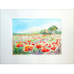 coquelicots provence artstyledeco