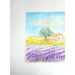 lavandes en provence gauche c8