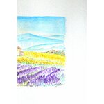 lavandes en provence droit c8